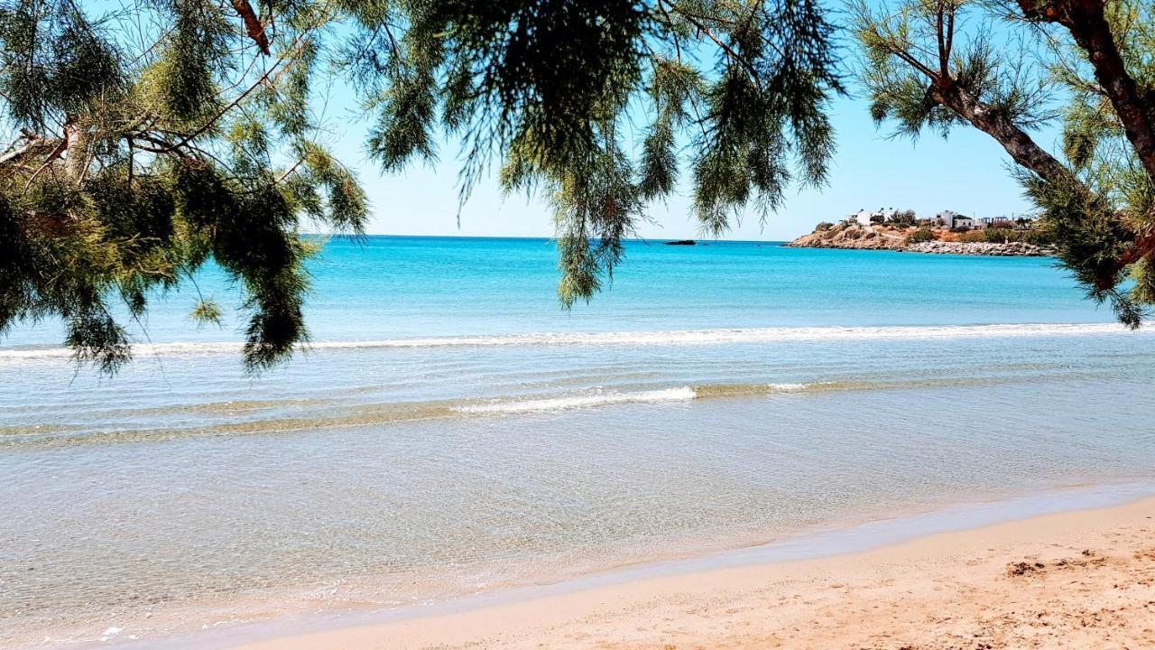 Ville Du Soleil - Exclusive Homes With Rustic Charm And Sensational Views Of The Mediterranean Sea Makrýgialos Exterior foto